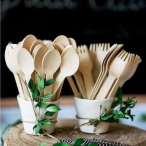 Biodegradable Cutlery (Spoon, Fork, Knife)